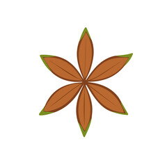 A Simple flat 2D icon anise plant isolated on a transparent background, vector, flat design, animation design, simple flat 2D icon, minimalist design, clipart, illustration