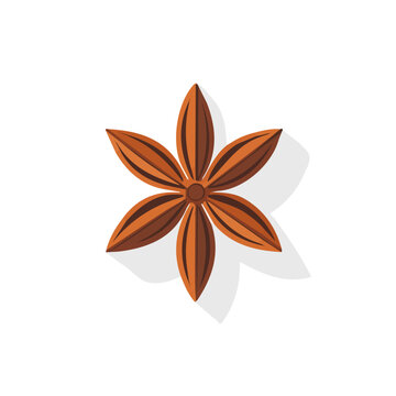 brown star anise spice isolated clip art preview