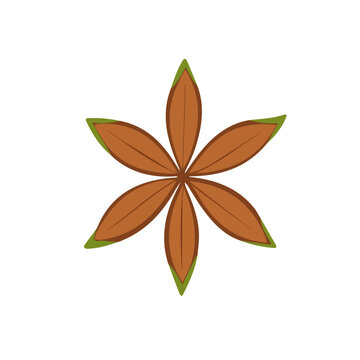brown star anise spice on white clip art preview