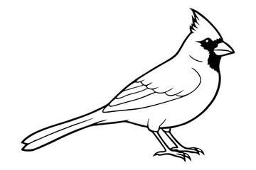 cardinal line art silhouette vector illustration