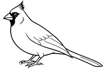 cardinal line art silhouette vector illustration