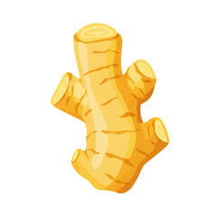 A Simple flat 2D icon ginger root isolated on a transparent background, vector, flat design, animation design, simple flat 2D icon, minimalist design, clipart, illustration