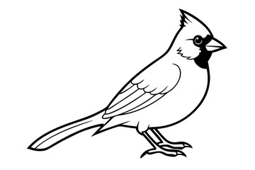 cardinal line art silhouette vector illustration