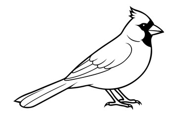 cardinal line art silhouette vector illustration