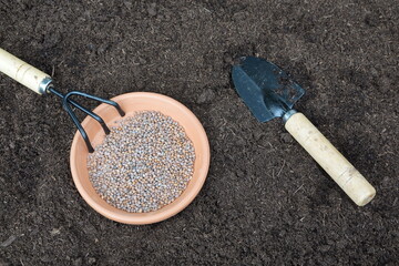 vegetable garden at home. sowing radish seeds. starting an urban vegetable garden.