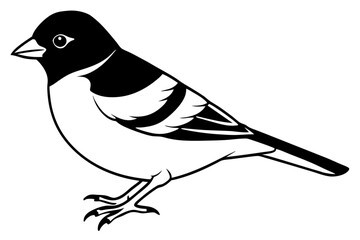 chaffinch line art silhouette vector illustration