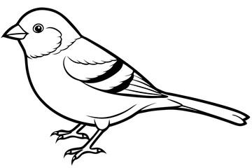 chaffinch line art silhouette vector illustration