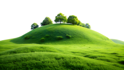 landscape with green grass and blue sky