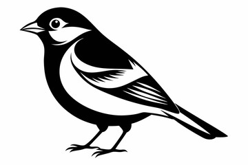 chaffinch line art silhouette vector illustration