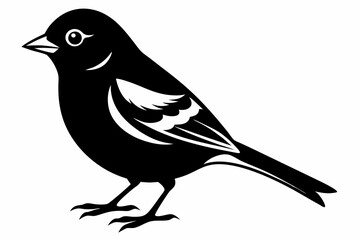 Obraz premium chaffinch line art silhouette vector illustration
