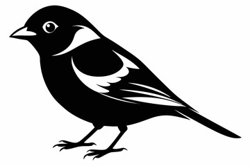 chaffinch line art silhouette vector illustration