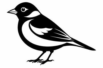 chaffinch line art silhouette vector illustration