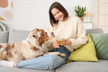 Happy young woman drinking green tea while sitting on sofa with cute dog at home