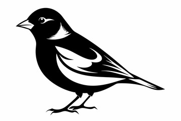 Obraz premium chaffinch line art silhouette vector illustration