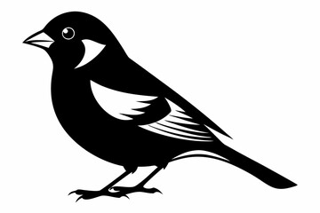Obraz premium chaffinch line art silhouette vector illustration