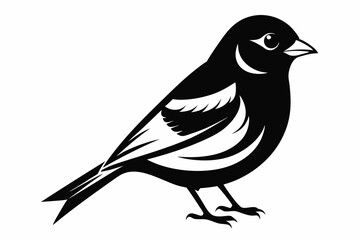 Obraz premium chaffinch line art silhouette vector illustration