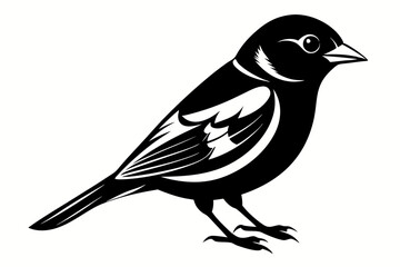 Obraz premium chaffinch line art silhouette vector illustration