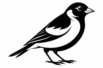 chaffinch line art silhouette vector illustration