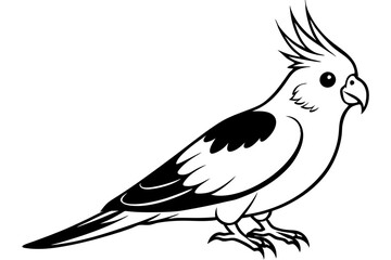 cockatiel line art silhouette vector illustration