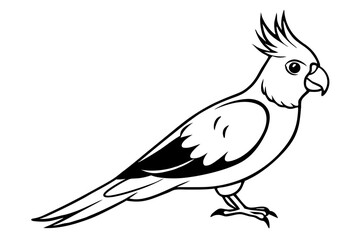 cockatiel line art silhouette vector illustration
