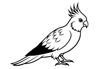 Fototapeta premium cockatiel line art silhouette vector illustration