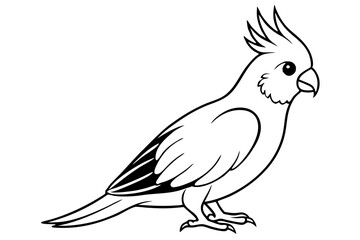 cockatiel line art silhouette vector illustration