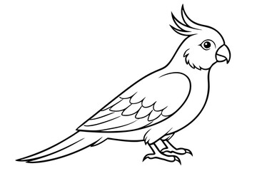 cockatiel line art silhouette vector illustration