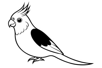 cockatiel line art silhouette vector illustration