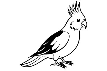 cockatiel line art silhouette vector illustration