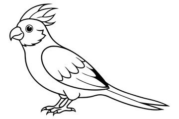 cockatiel line art silhouette vector illustration