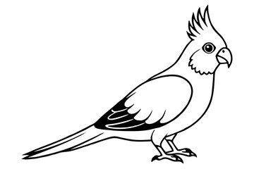 Fototapeta premium cockatiel line art silhouette vector illustration