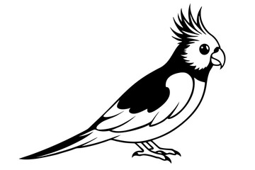 cockatiel line art silhouette vector illustration