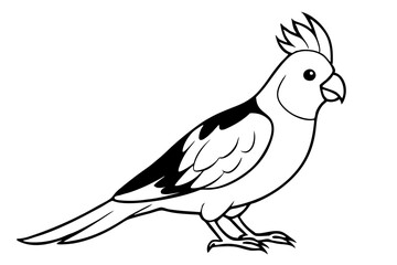 cockatiel line art silhouette vector illustration