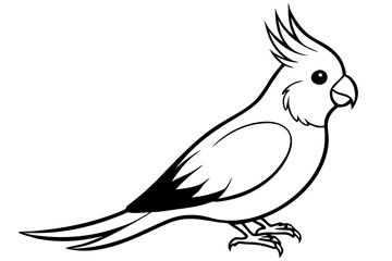 cockatiel line art silhouette vector illustration