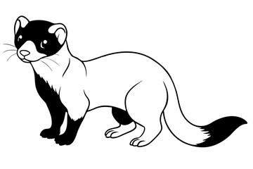 ferret line art silhouette vector illustration