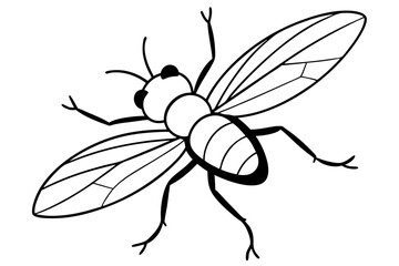 flie line art silhouette vector illustration