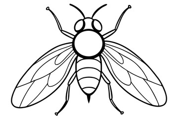 flie line art silhouette vector illustration