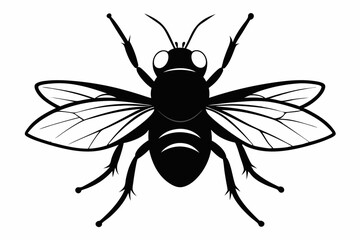 flie line art silhouette vector illustration