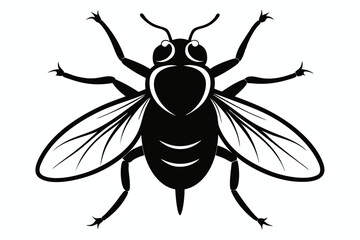 flie line art silhouette vector illustration