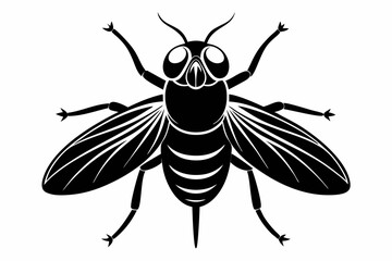 flie line art silhouette vector illustration