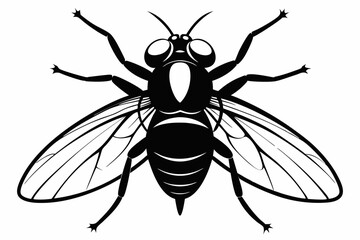 flie line art silhouette vector illustration