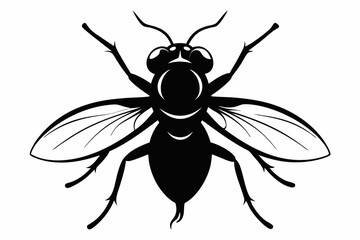 flie line art silhouette vector illustration