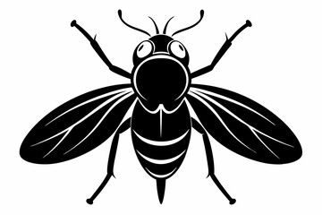 flie line art silhouette vector illustration