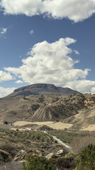 Rural landscape with rolling hills, olive groves, and a distant mountain