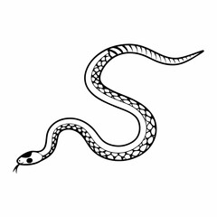 Serpentine Beauty: This image captures a sleek snake gracefully curving, its intricate patterns on display, a testament to nature's artistry.