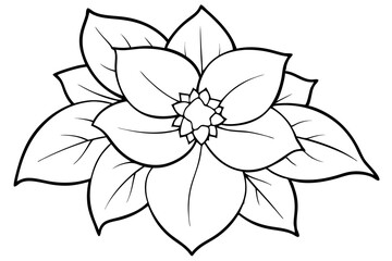 hellebore flower line art silhouette vector illustration