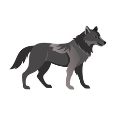 Naklejka premium Lone Wolf Silhouette: A majestic gray wolf, captured in a minimalist silhouette, embodies the spirit of wilderness, solitude, and untamed power.