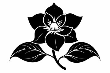 hellebore flower line art silhouette vector illustration