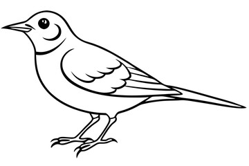 lark bird line art silhouette vector illustration