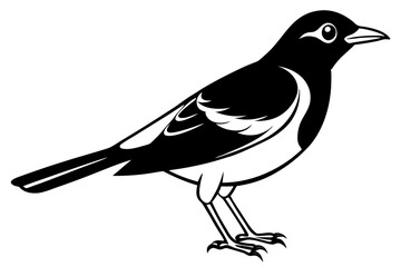 lark bird line art silhouette vector illustration